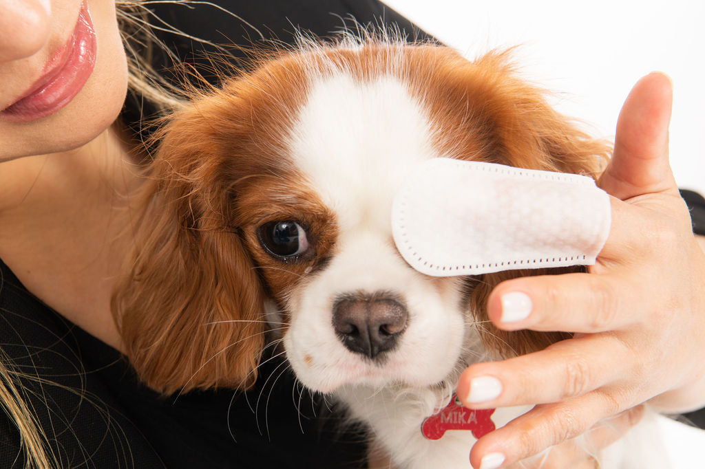 Pet Eye Finger Wipes