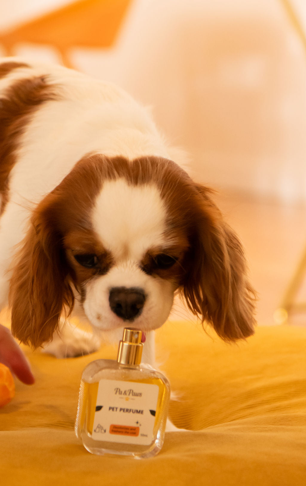 Pet Perfume – 50mL