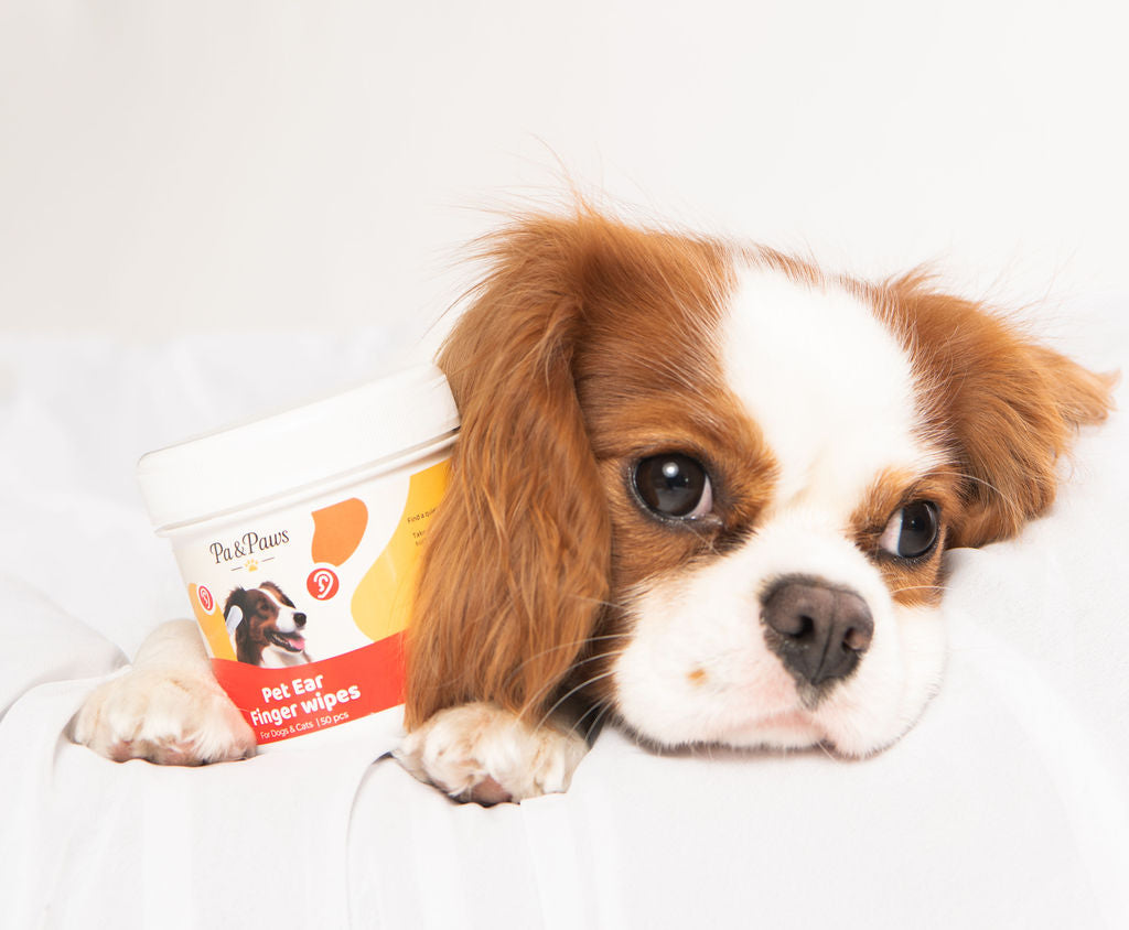 Pet Ear Finger Wipes