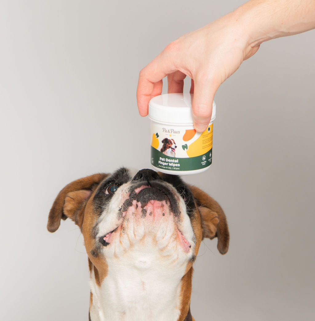 Pet Dental Finger Wipes