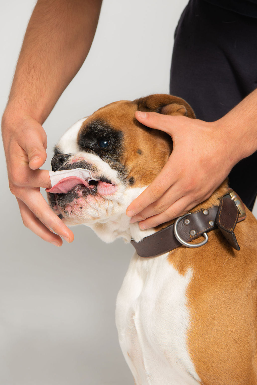 Pet Dental Finger Wipes